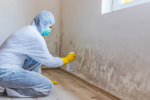 Mold Testing and Removal in Capitol Heights, MD