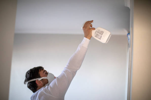 Best Residential Mold Removal  in Capitol Heights, MD