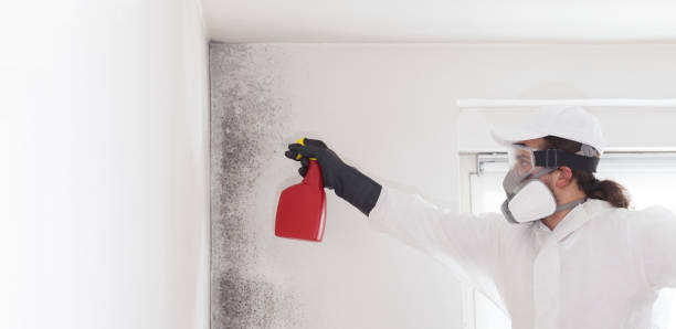 Mold Removal and Inspection in Capitol Heights, MD